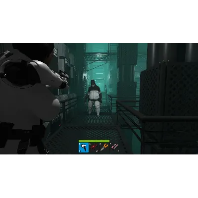 Haydee 3 Steam Gift Россия мгновенно - irongamers.ru