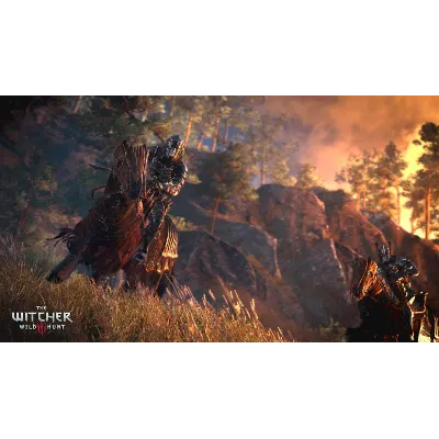 ⭐ The Witcher 3: Wild Hunt - Expansion Pass GOG КЛЮЧ - irongamers.ru