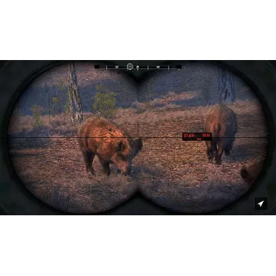 ⭐Cabela&acute;s Big Game Hunter Pro Hunts Steam КЛЮЧ GLOBAL - irongamers.ru