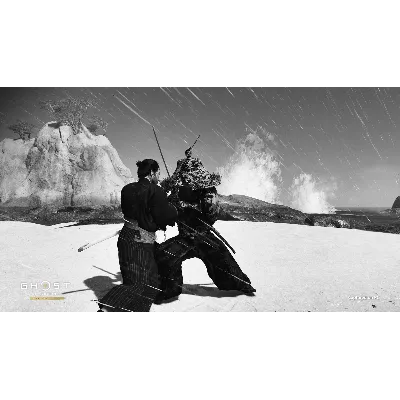 Ghost of Tsushima DIRECTORS CUT (без РФ/РБ) Steam Ключ - irongamers.ru