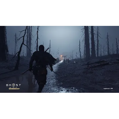 Ghost of Tsushima DIRECTORS CUT (без РФ/РБ) Steam Ключ - irongamers.ru