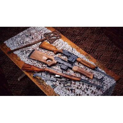 theHunter: Call of the Wild - Rapid Hunt Rifle Pack - irongamers.ru