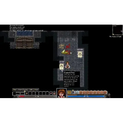 ⭐ Dungeons of Dredmor Steam КЛЮЧ GLOBAL - irongamers.ru