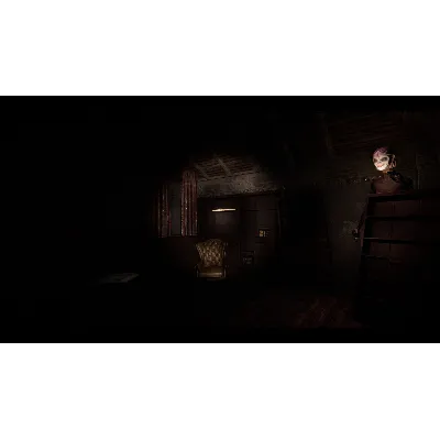 ⭐Dollhouse: Behind the Broken Mirror Steam КЛЮЧ GLOBA - irongamers.ru