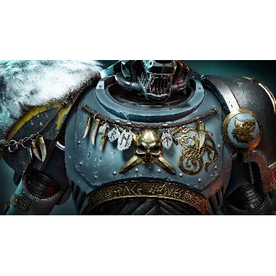 Warhammer 40,000: Space Marine 2 Space Wolves Chapter Pack DLC STEAM РОССИЯ - irongamers.ru
