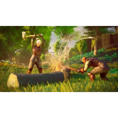 RuneScape: Dragonwilds steam - irongamers.ru