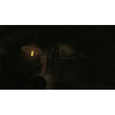 Amnesia: A Machine for Pigs | АВТОДОСТАВКА RU Steam - irongamers.ru