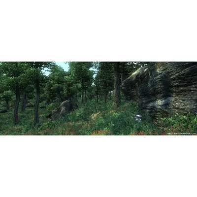 The Elder Scrolls IV: Oblivion GOTY · Standard/Deluxe - irongamers.ru