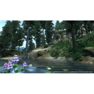 The Elder Scrolls IV: Oblivion GOTY · Standard/Deluxe - irongamers.ru