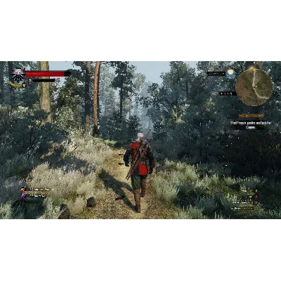 ВЕДЬМАК 3: ДИКАЯ ОХОТА + ВСЕ ДЛС STEAM ОФФЛАЙН - irongamers.ru
