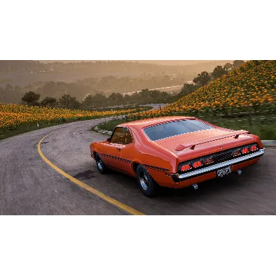 Forza Horizon 5 1970 Mercury Cyclone Spoiler DLC STEAM - irongamers.ru