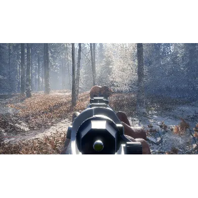 theHunter: Call of the Wild™ - Hunter Power Pack DLC - irongamers.ru
