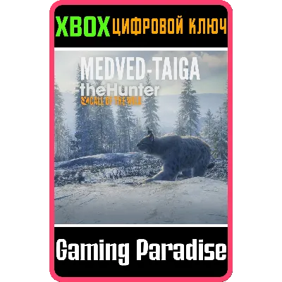 THEHUNTER: CALL OF THE WILD - MEDVED-TAIGA XBOX КЛЮЧ - irongamers.ru