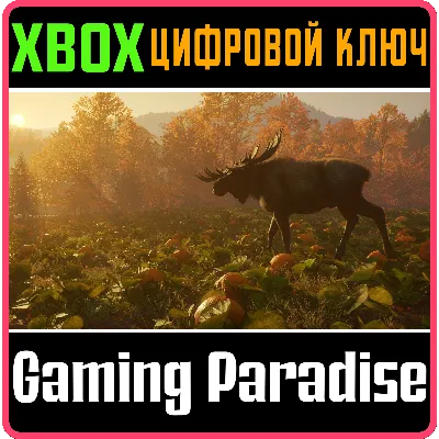 CALL OF THE WILD - NEW ENGLAND MOUNTAINS XBOX КЛЮЧ - irongamers.ru