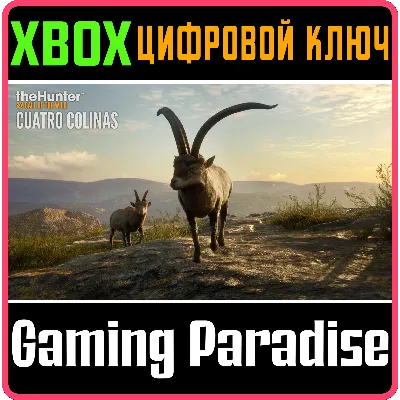 CALL OF THE WILD - CUATRO COLINAS GAME RESERVE XBOX - irongamers.ru