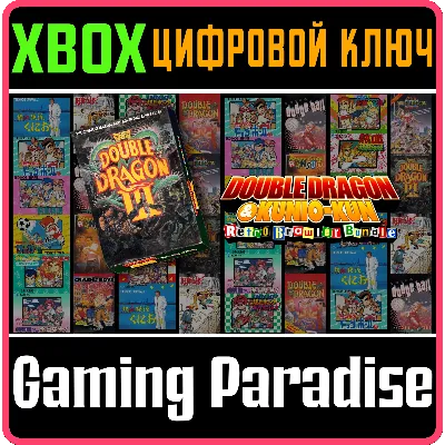 DOUBLE DRAGON Ⅲ THE SACRED STONES XBOX ONE|X/S KEY - irongamers.ru