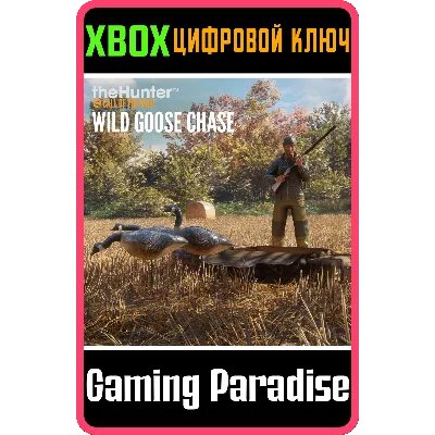 : CALL OF THE WILD - WILD GOOSE CHASE GEAR XBOX КЛЮЧ - irongamers.ru
