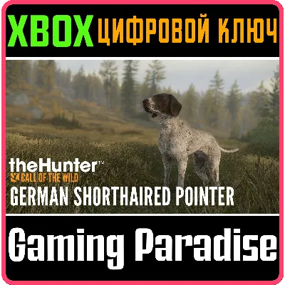 THEHUNTER: CALL OF THE WILD - GERMAN SHORTHAIRED XBOX - irongamers.ru