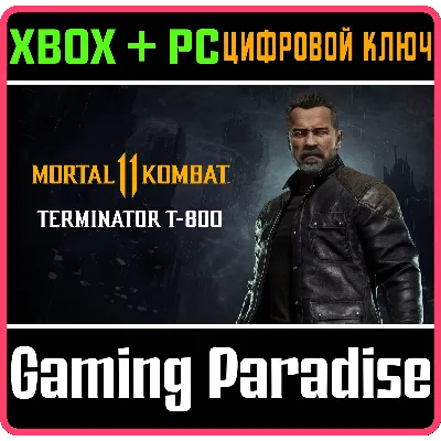 TERMINATOR T-800 XBOX ONE/X|S+ПК КЛЮЧ - irongamers.ru