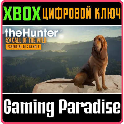 THEHUNTER: CALL OF THE WILD - ESSENTIALS DLC XBOX - irongamers.ru