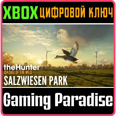 THEHUNTER: CALL OF THE WILD - SALZWIESEN PARK XBOX КОД - irongamers.ru