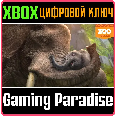 ZOO TYCOON XBOX ONE/X|S КЛЮЧ - irongamers.ru