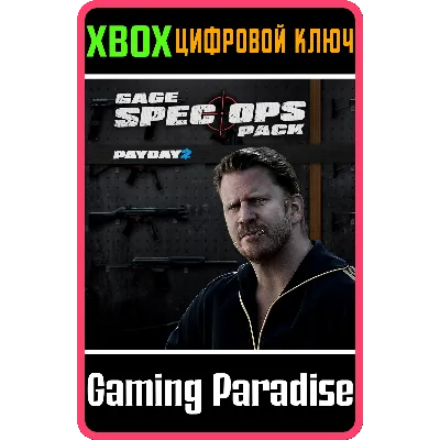 PAYDAY 2: CRIMEWAVE EDITION - Gage Spec Ops Pack XBOX - irongamers.ru