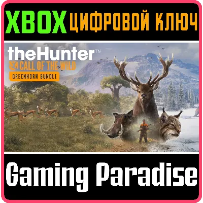 THEHUNTER: CALL OF THE WILD - GREENHORN BUNDLE XBOX - irongamers.ru