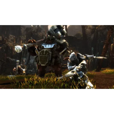 Kingdoms of Amalur: Re-Reckoning STEAM GIFT AUTO RU+МИР - irongamers.ru