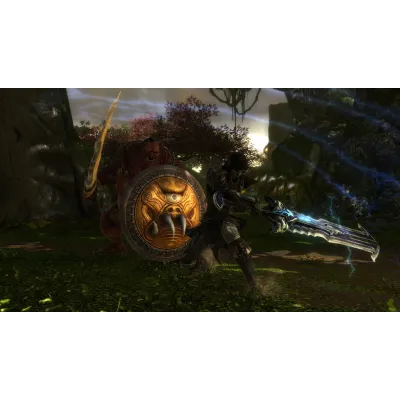 Kingdoms of Amalur: Re-Reckoning STEAM GIFT AUTO RU+МИР - irongamers.ru