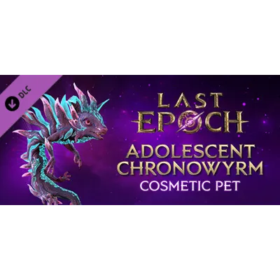 Last Epoch Deluxe Edition STEAM GIFT AUTO RU+МИР - irongamers.ru