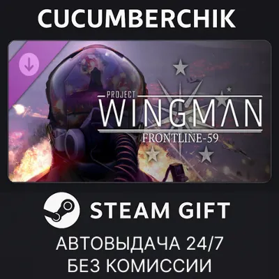 Project Wingman - Frontline 59 Campaign STEAM GIFT AUTO RU+МИР - irongamers.ru