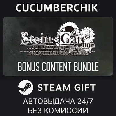 STEINS;GATE ELITE - Bonus Content Bundle STEAM GIFT AUTO RU+МИР - irongamers.ru