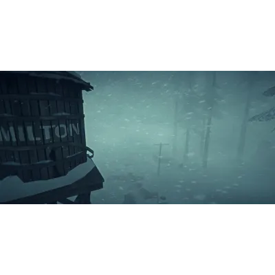 The Long Dark STEAM GIFT AUTO RU+МИР - irongamers.ru