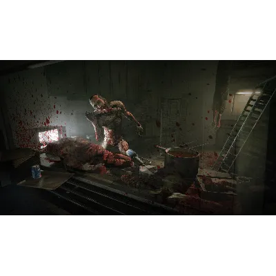 Outlast: Whistleblower DLC STEAM АВТО RU/UA/KZ/СНГ - irongamers.ru