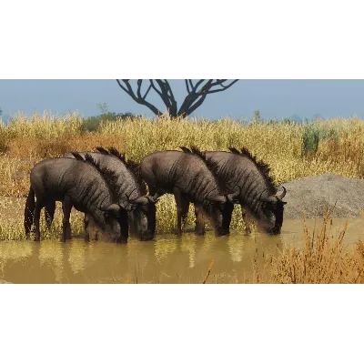Planet Zoo: Grasslands Animal Pack Steam Ключ РФ+Мир - irongamers.ru