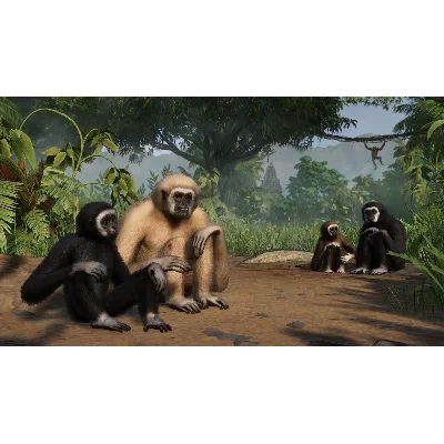 Planet Zoo: Tropical Pack Steam Ключ РФ+Мир +Бонус - irongamers.ru
