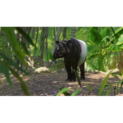 Planet Zoo Southeast Asia Animal Pack Steam Ключ РФ+Мир - irongamers.ru