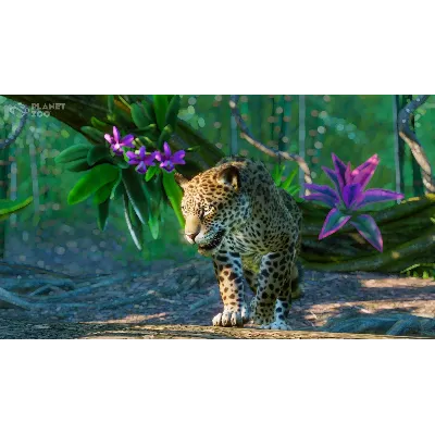 Planet Zoo: South America Pack Steam Ключ РФ+Мир +Бонус - irongamers.ru