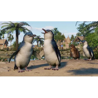 Planet Zoo: Oceania Pack Steam Ключ РФ+Мир +Бонус - irongamers.ru