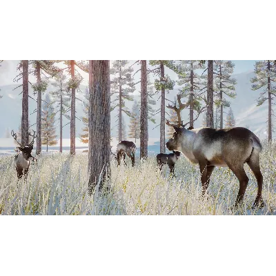 Planet Zoo: Arctic Pack Steam Ключ РФ+Мир +Бонус - irongamers.ru