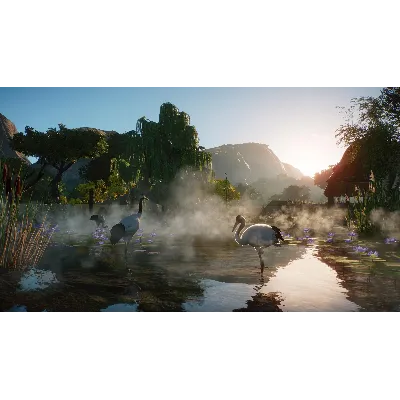 Planet Zoo: Wetlands Animal Pack Steam Ключ РФ+Мир - irongamers.ru