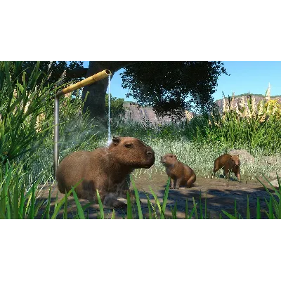 Planet Zoo: Wetlands Animal Pack Steam Ключ РФ+Мир - irongamers.ru