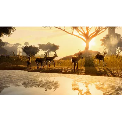 Planet Zoo: Deluxe Upgrade Pack Steam Ключ РФ+Мир +Бону - irongamers.ru