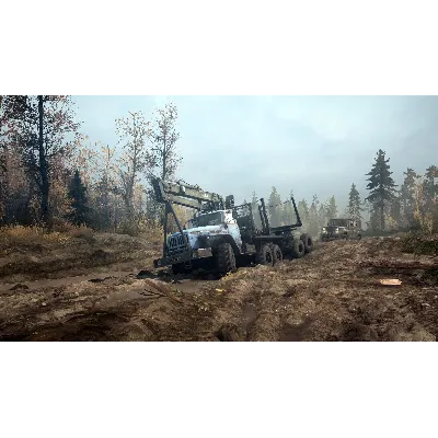 Spintires MudRunner | American Wilds Edition Steam Ключ - irongamers.ru