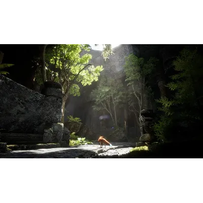 Spirit of the North 2 Xbox Series X|S активация - irongamers.ru