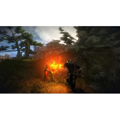 The Witcher 2: Assassins of Kings Enh. (Steam / РФ+Мир) - irongamers.ru