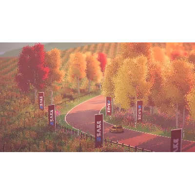 ART OF RALLY XBOX + PC (WIN) КЛЮЧ/КОД - irongamers.ru