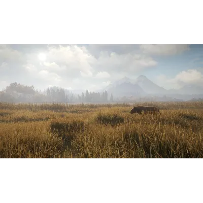 theHunter: Call of the Wild + 9 DLC Steam Ключ РФ+Мир - irongamers.ru
