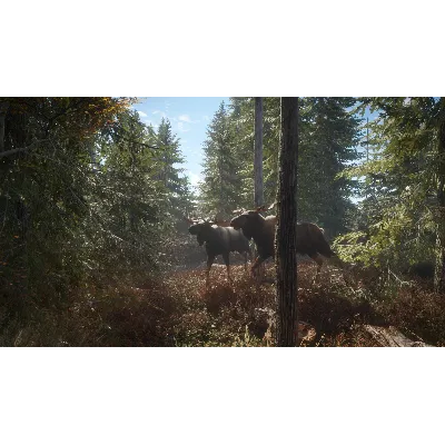 theHunter: Call of the Wild + 9 DLC Steam Ключ РФ+Мир - irongamers.ru